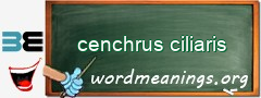 WordMeaning blackboard for cenchrus ciliaris